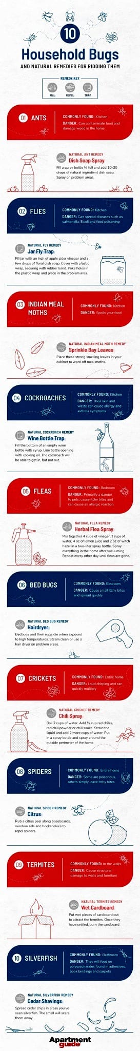 Common household bugs and how to get rid of them